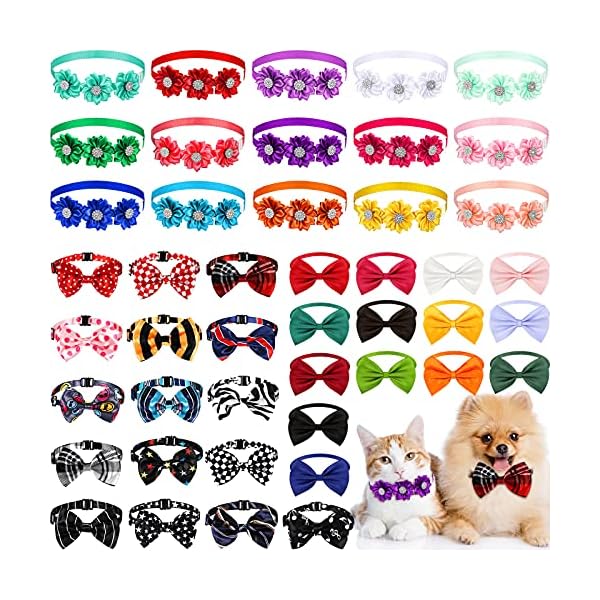 dog collar attachments