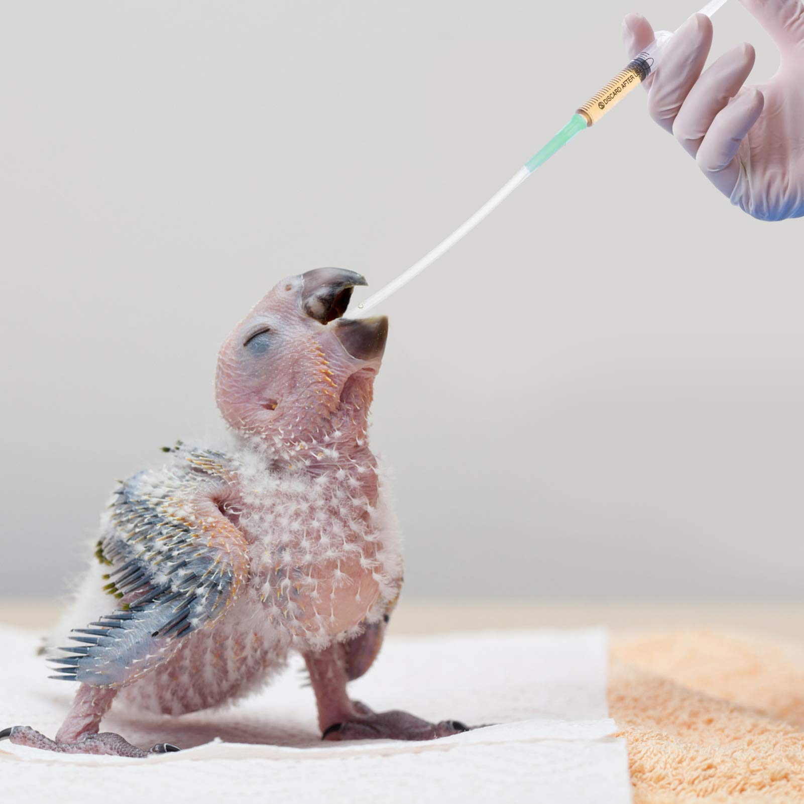 10 Tubi Alimentazione Per Uccelli - Siringhe Per Pappagalli E Piccoli Volatili, Trasparenti E Igienici - Foto 2