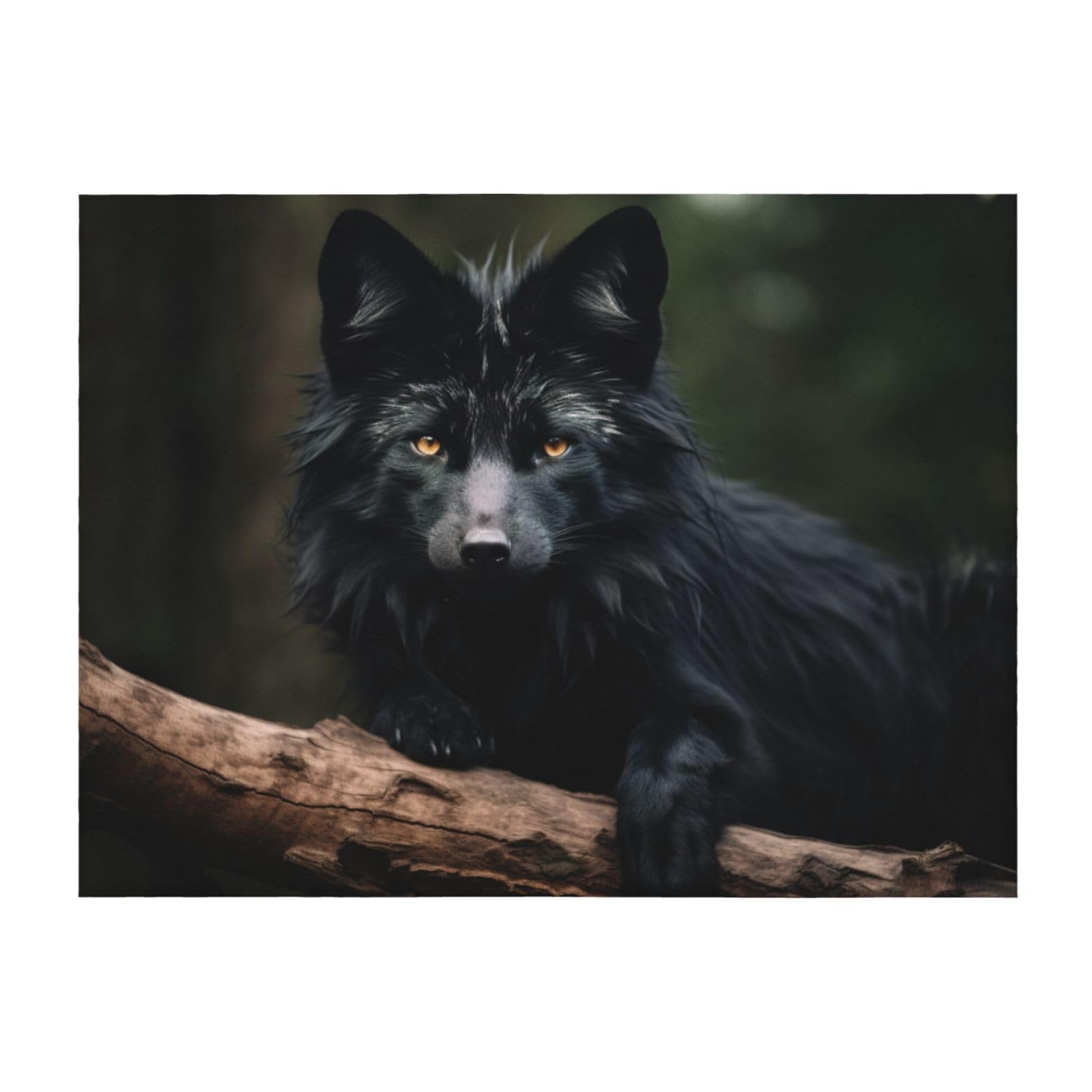 Couverture de canapé Beaver1 noire pour protéger vos meubles et rester au chaud