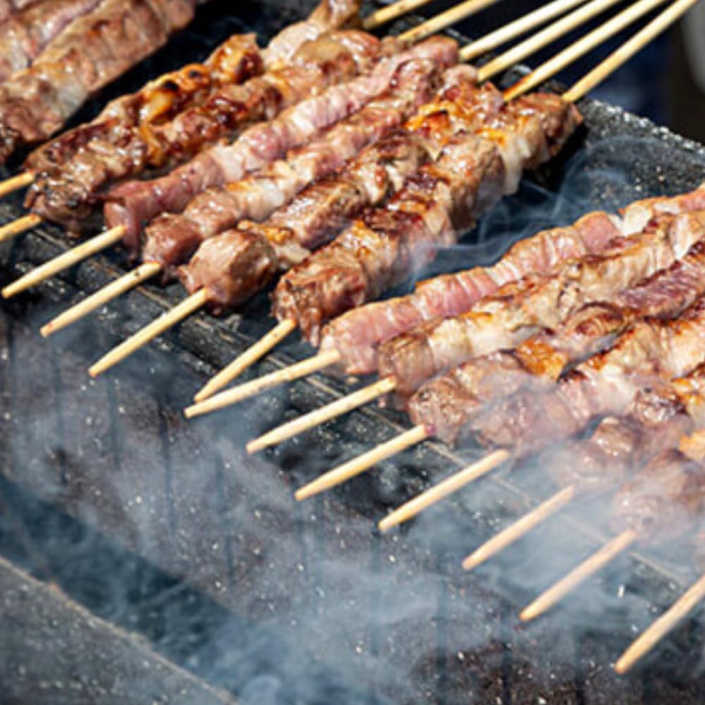Paluplus Barbecue per Arrosticini in acciaio verniciato Nero, Misura 100x14x75 cm, Canaletta a 4 Gambe Pieghevoli, Fori di Ventilazione, Grill a carbone per Spiedini, Made in Italy -029