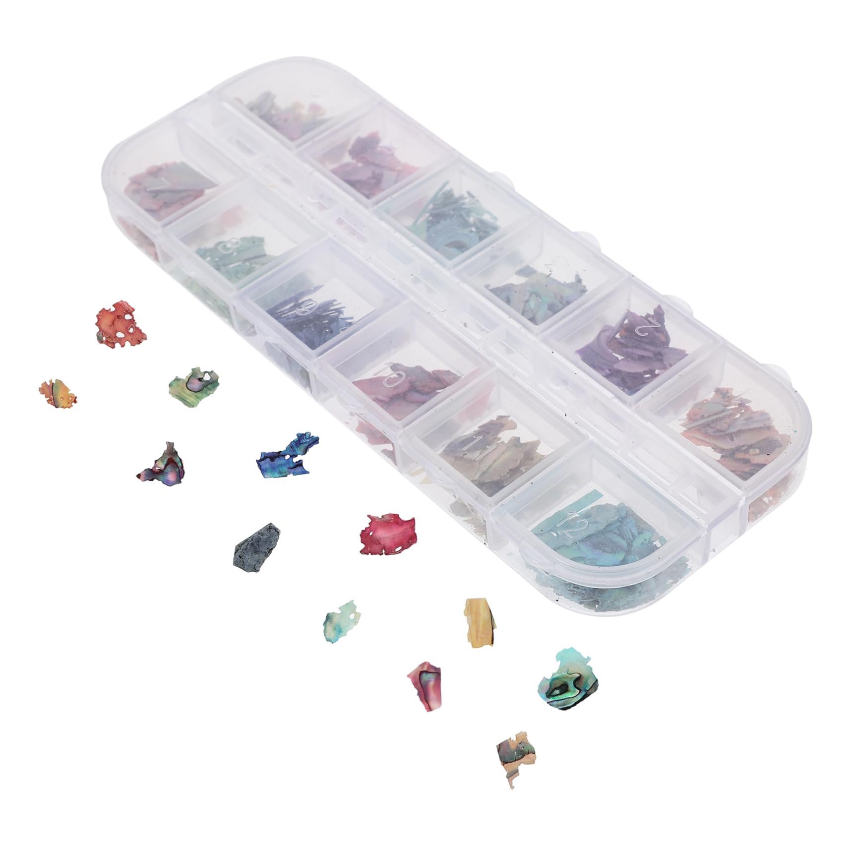 SHERCHPRY 1 Box Natural Shell Nail Art Charms Decorations for Women Manicure Supplies for Christmas Nail Designs DIY Art