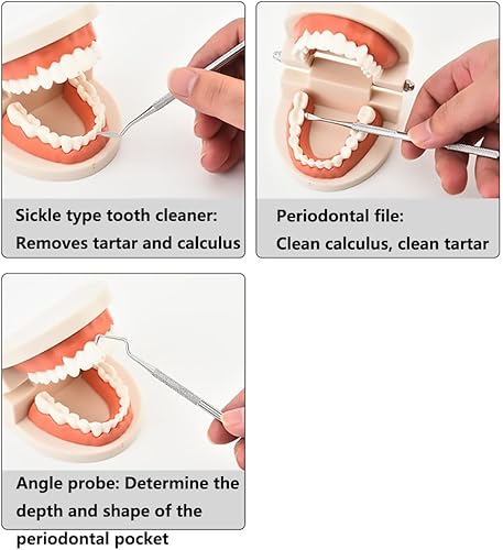 Miniatura 4 de Herramientas dentales, removedor de placa, herramientas de cuidado bucal dental, juego de herramientas de limpieza dental de acero inoxidable con
