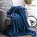 Luxury Collection Microplush Flannel Fleece Blanket | Ultra Soft 380 GSM Lightweight All-Season Anti-Static Throw/Blanket for Sofa Couch Bed (Queen (78'' x 90''), Navy Blue)