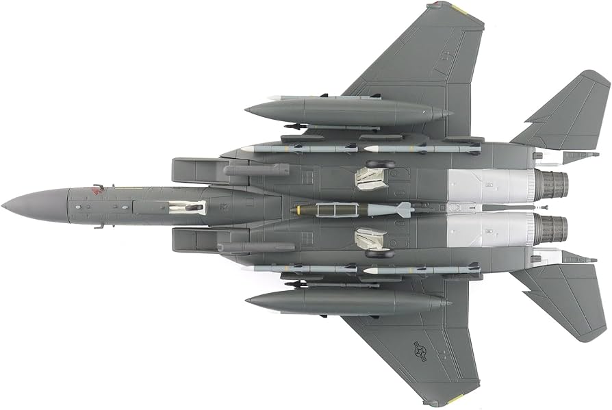 技mix アメリカ空軍 F-15E 第494戦闘飛行隊(レイクンヒース) TOMYTEC 技mix アメリカ空軍 F-15E 第494戦闘飛行隊(レイクンヒース) TOMYTEC