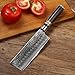 Bigsun Chef Gyutou Knife 67 Layers VG 10 Forged High Carbon Damascus Steel Kitchen cooking Knives with Resin Honeycomb Design Handle (7Inch Nakiri Knife, Brown)