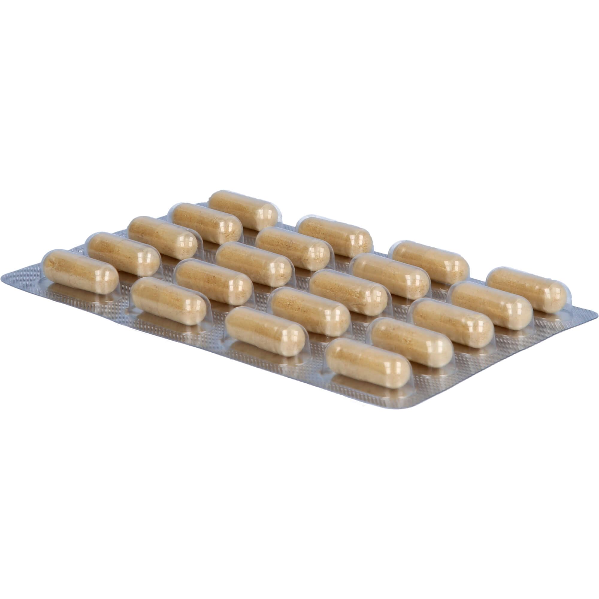Roter Ginseng 400 mg 8% von Terra Mundo Kapseln