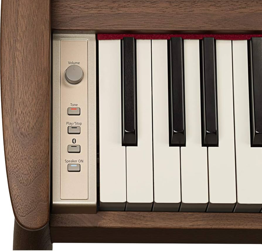 Roland きよら　ウォールナッツ Roland 【1台限り展示品特価！】KIYOLA (きよら) KF-10 KW