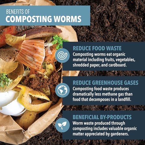 Composting-Worms--Live-Red-Wriggler-Compost-Worms-Mix--Sustainable-Compost-Worms-Live-for-Organic-Materials-Worm-Composting-Set-for-Better-Soil-Structure-250-Worms-CANNOT-SHIP-TO-HAWAII