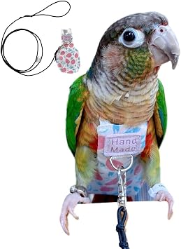 Bird Clothes Parrot Diapers Bird Flight Suits, Reusable Waterproof Diapers pet Bird Supplies Without Rope, S