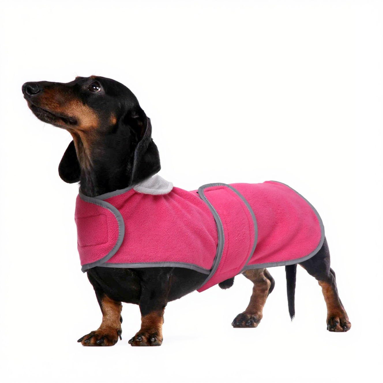 babepet Soft Dog Fleece,Dachshund Coat Miniature Dachshund Clothes with Leash Hole,Small Dog Jumper,Reflective,Foldable Collar Windproof,Ideal for Outdoor&Indoor-Pink-M