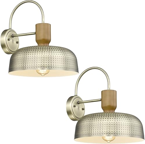 Luminzone Apliques de pared para exteriores de 2 luces, luces de granero, iluminación de cuello de cisne para exteriores, iluminación de pared