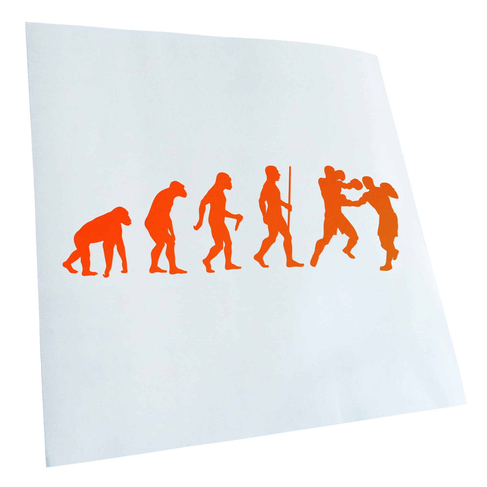 Kiwistar Boxing Knockout Evolution Sticker 25 Colours Neon Matt