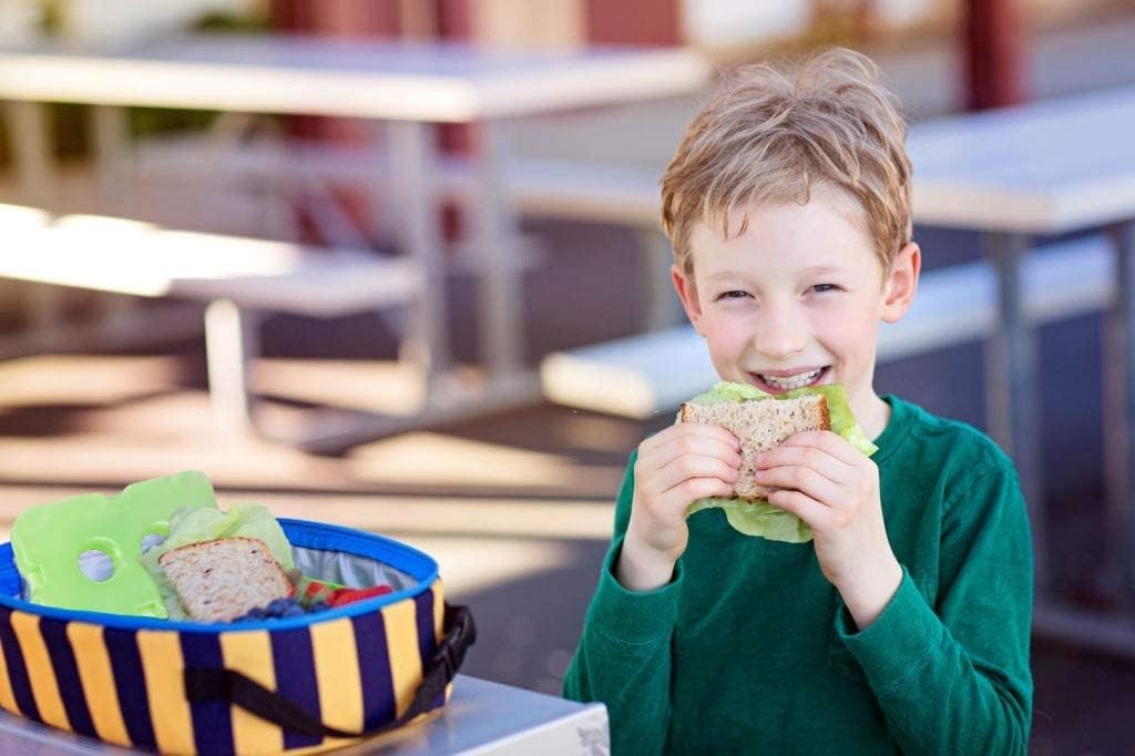 Healthy Packers Reusable Ice Packs for Lunch Boxes - Long Lasting Slim Freezer Packs, Thin Non-Toxic BPA-Free Hard Gel Ice Blocks for Coolers, Kids & Adults Lunch Bags, Travel, Camping, Food Storage - Image 8