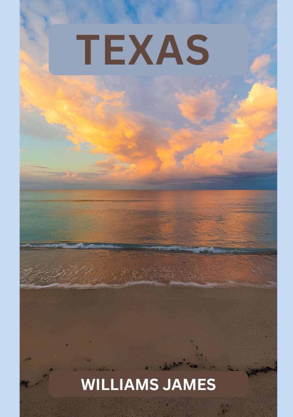 TEXAS GUIDE DE VOYAGE 2026: Découvrez l'esprit, la grandeur et l'âme du Texas en 2026