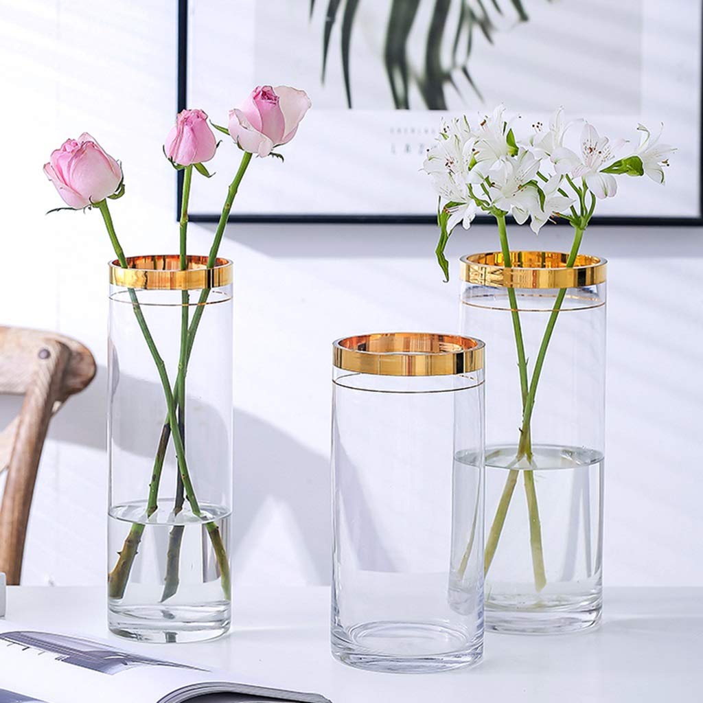 Amazon.com: Indoor Gardening Flower Arrangement Cylindrical Glass