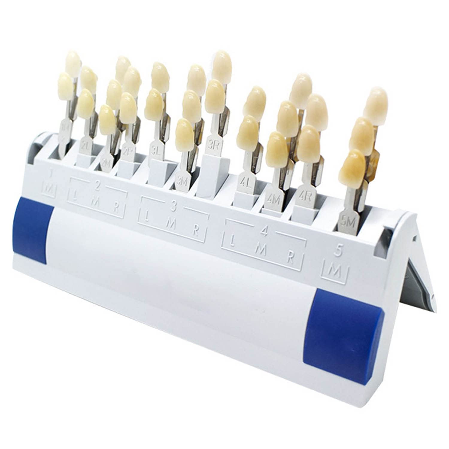 Buy Dental Teeth Shade Guide, 3D Tooth Guide System, 29 Color Shades