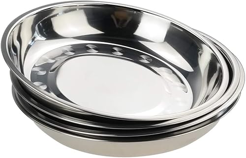 Teyyvn Paquete de 4 platos llanos de acero inoxidable, platos redondos para acampar, 9.2 pulgadas