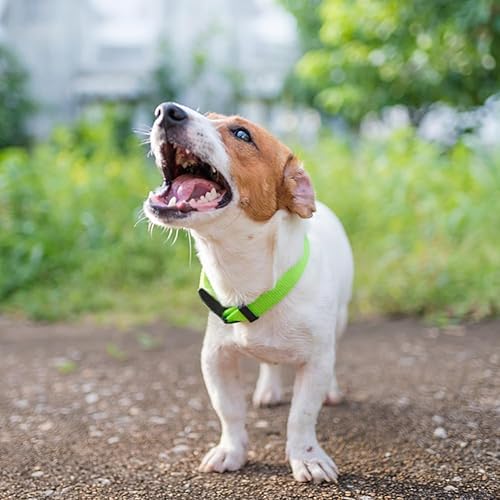 Miniatura 2 de Collar de perro básico verde con collar transpirable de nailon de liberación rápida para cachorros, perros pequeños, medianos y grandes, niños y