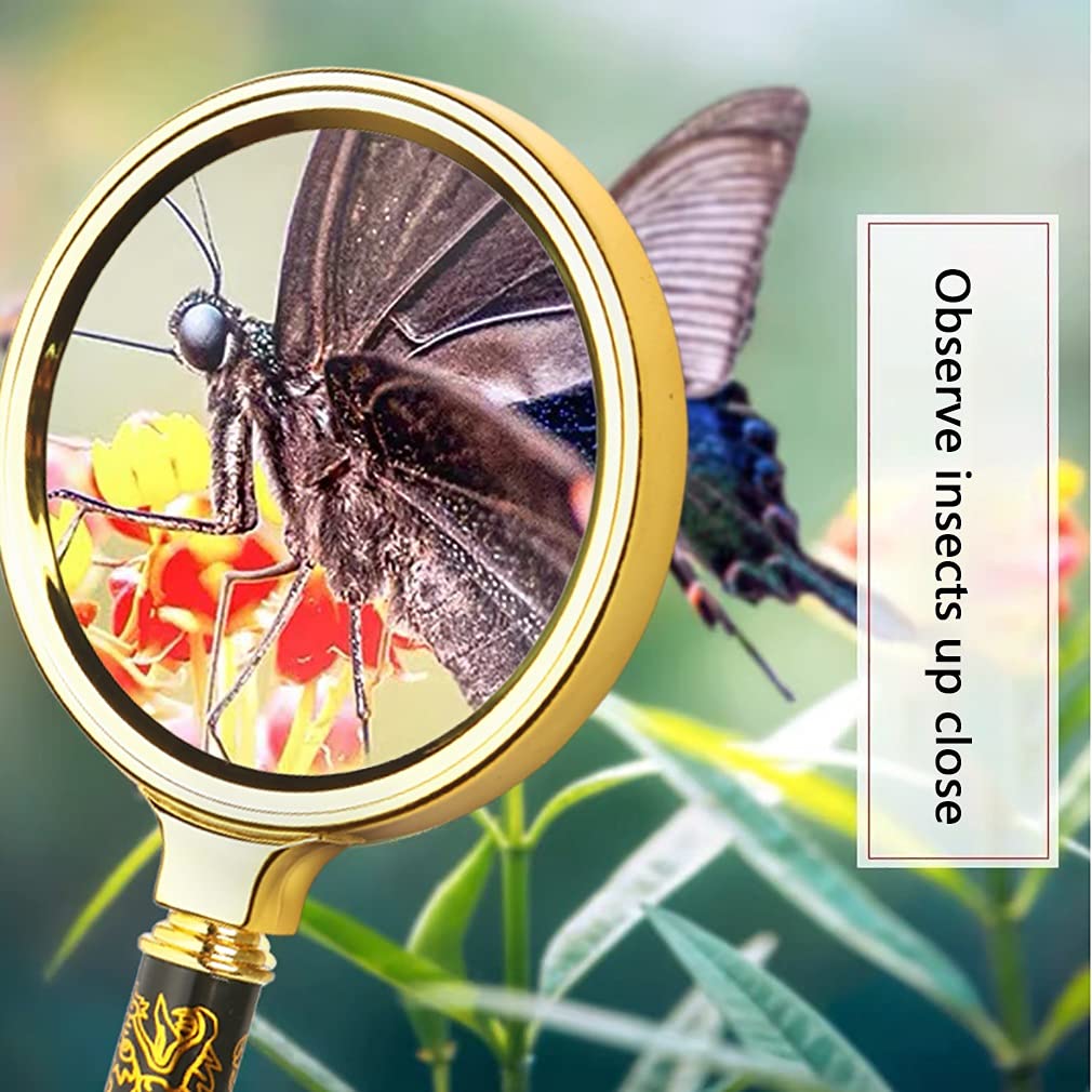 Lente di ingrandimento per la lettura Lente di ingrandimento Lente di ingrandimento Lente di ingrandimento extra large infrangibile Lente di ingrandimento leggera per la lettura Lente di ingrandi
