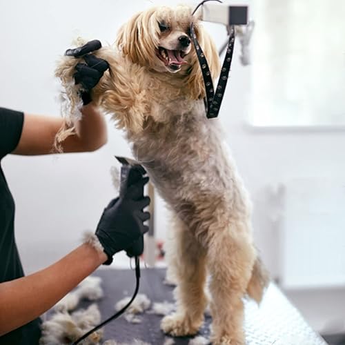 Miniatura 9 de Cuchillas de repuesto para cortadora de aseo para perros compatibles con cortadoras de perros AndisWahl  Oster hoja de cerámica desmontable y hoja