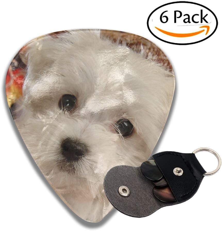 Lovely White Puppy Dog 351 Shape Classic Guitar Picks Cool Design Best Celluloid Guitar Picks For Your Electric, Acoustic, Or Bass Guitar