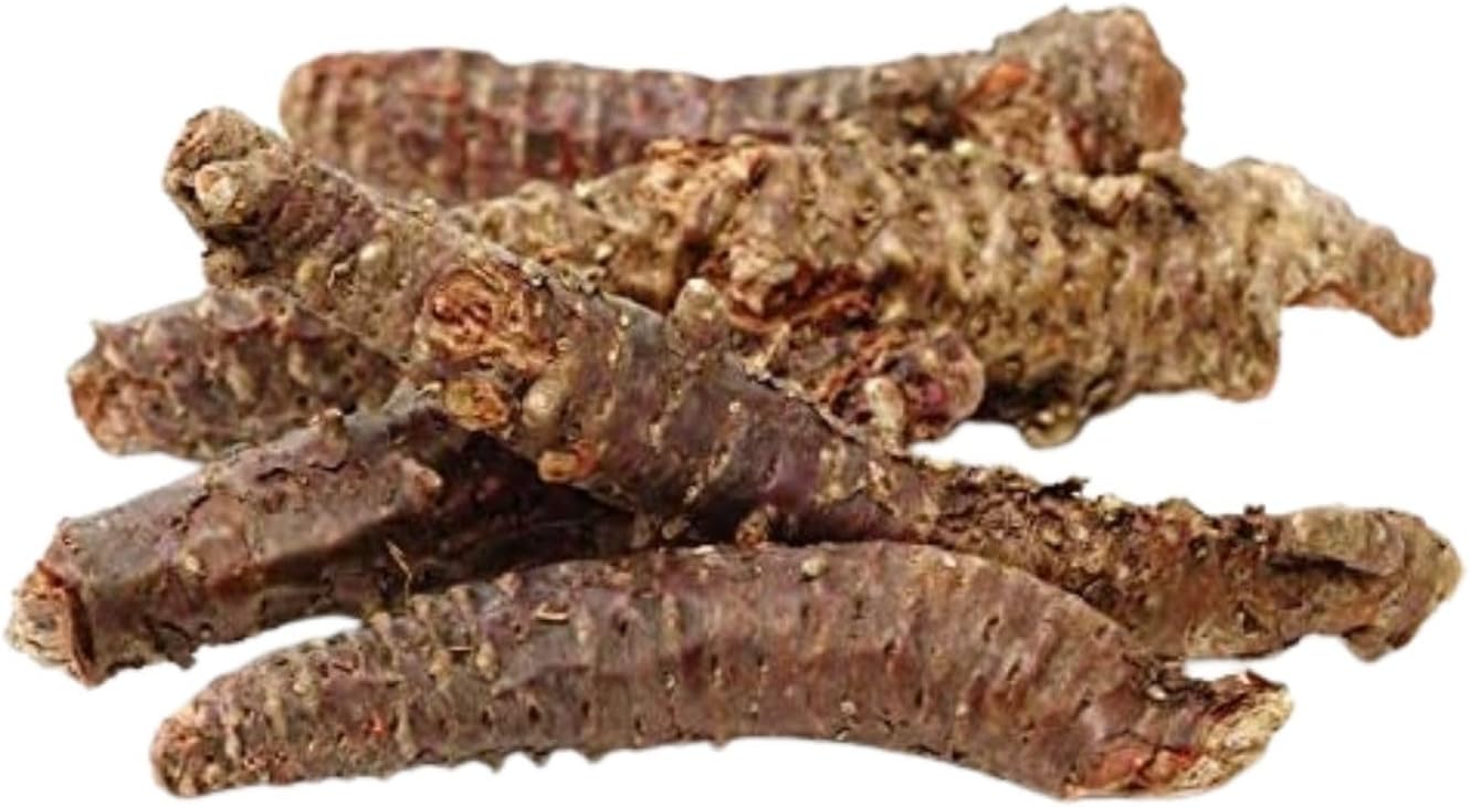 Golden Root | Hong Jing Tian | Rhodiola Rosea Herb (Whole Root) Herb Tea, 1 Pound – Plum Dragon Herbs