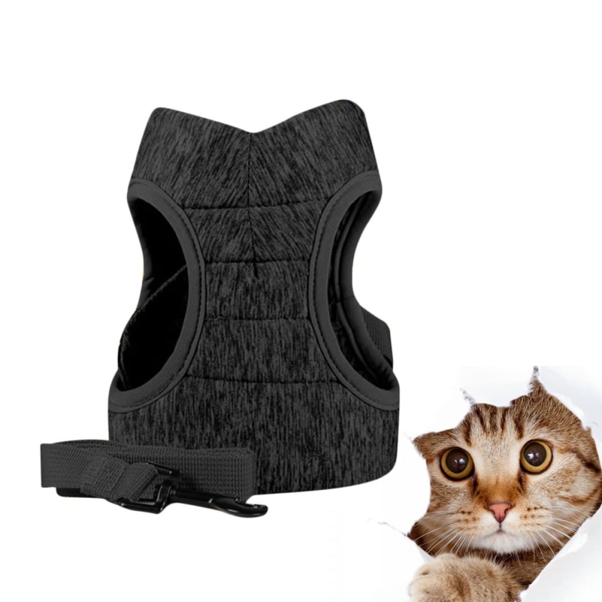 POPETPOP 3pièces pour Chat Sangle De Poitrine Confortable Et Respirante Accessoire pour Animaux De Compagnie s