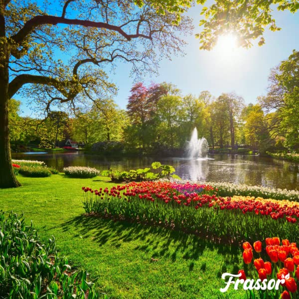 Fertilizante Para Insectos - 10kg | Por 100 M - Activador Y Fertilizante Natural Del Suelo - Rico En Nutrientes - Fertilizante Para Jardín - Frassor