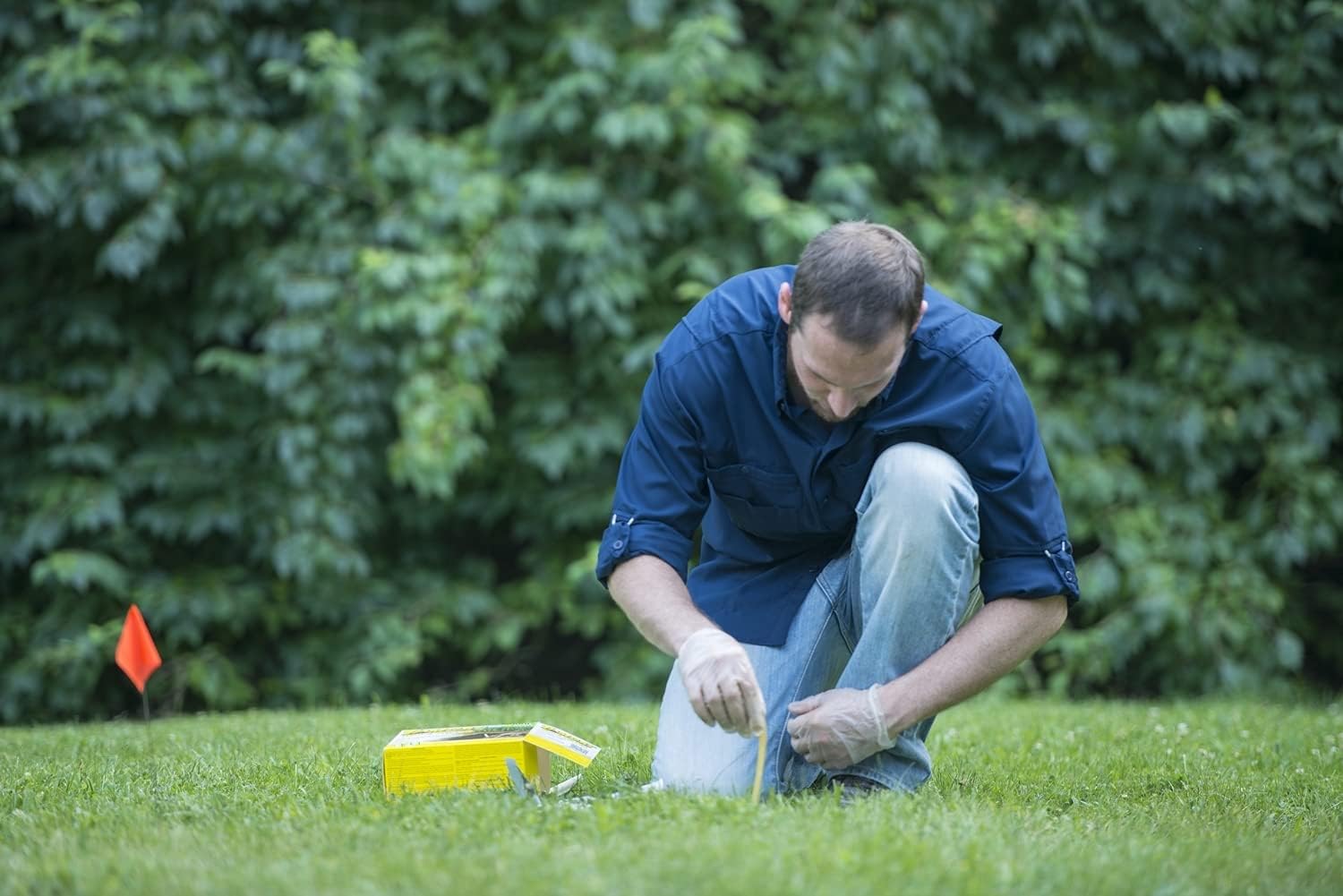 Tomcat Mole Killer-Worm Bait: Ready-to-Use, Includes 10 Worms per Box, Not in AK,HI,NY,MT