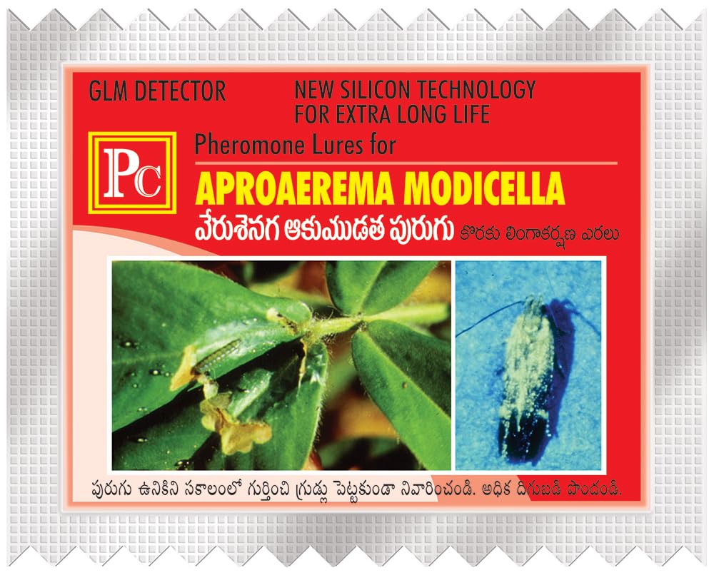 pheromone chemicals Replacement Lures for Aproaerema modicella (Groundnut leafminer) - 10 Pack (Lure Works for 30-45days)-picture-21