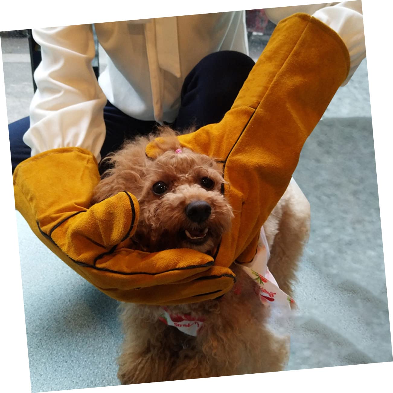 Housoutil Bissfeste Trainingshandschuhe Aus Rindsleder - Kratzfester Schutz Für Hundetraining & Fellpflege