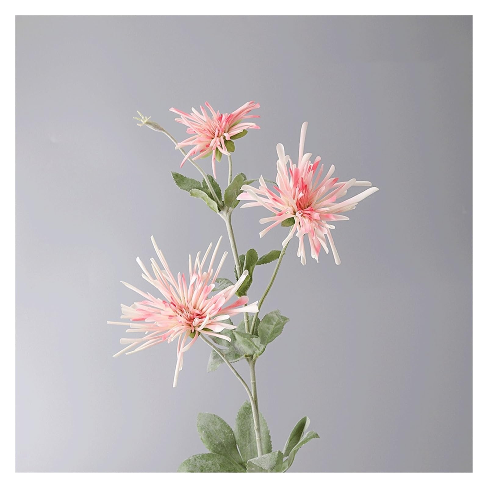 Chrysanthème griffe de crabe artificielle, fleur simulée haut de gamme multicolore