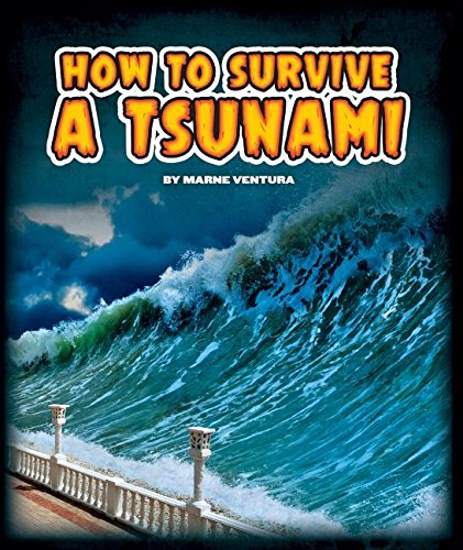 Ventura tsunami video