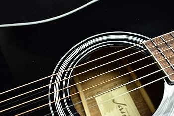 Amazon | James J-450D/Ova Black アコースティックギター エレアコ