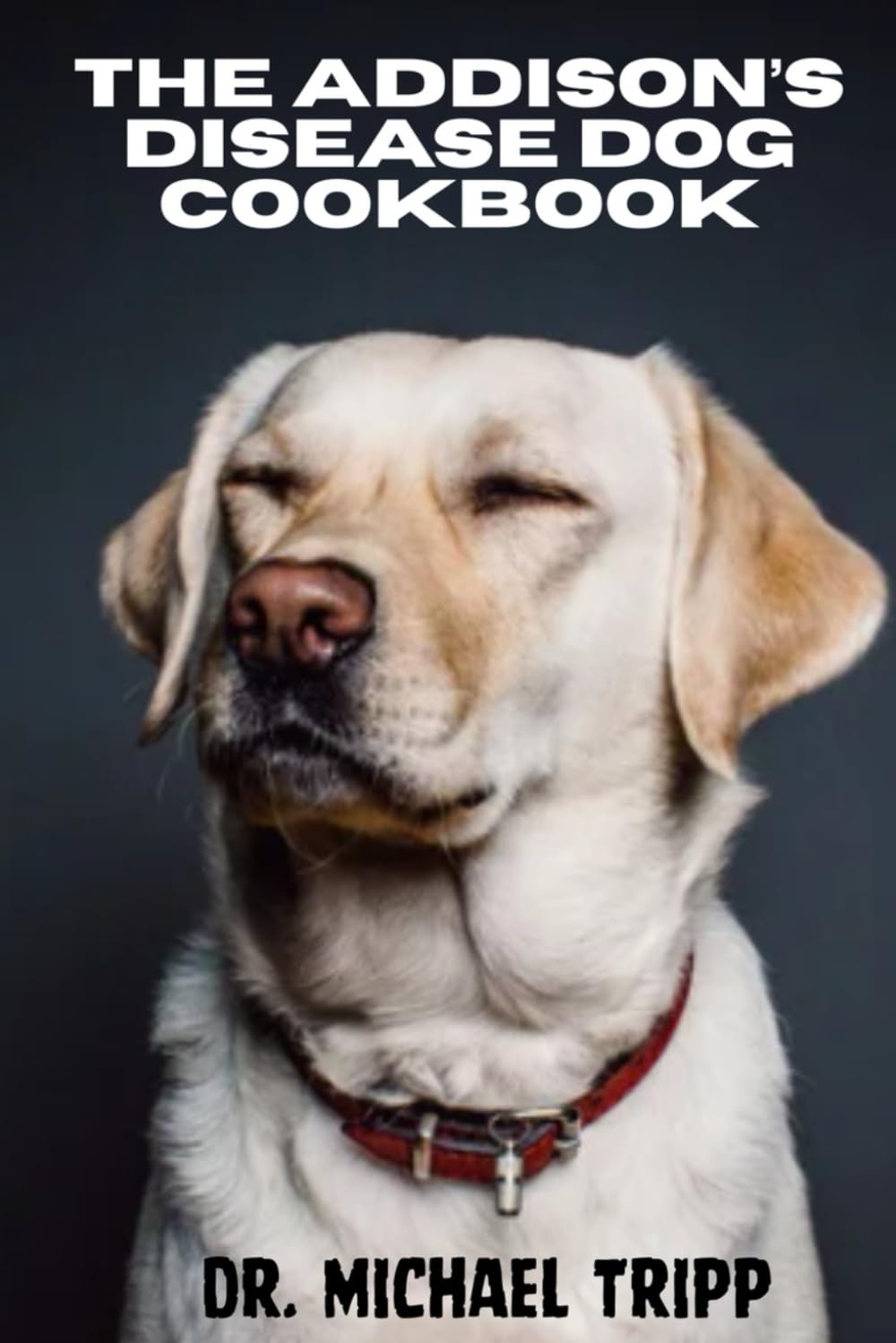The Addison’s Disease Dog Cookbook