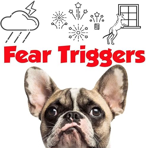 Miniatura 5 de The Blissful Dog Spray de aromaterapia relajante de Bulldog francés para la ansiedad de tu perro