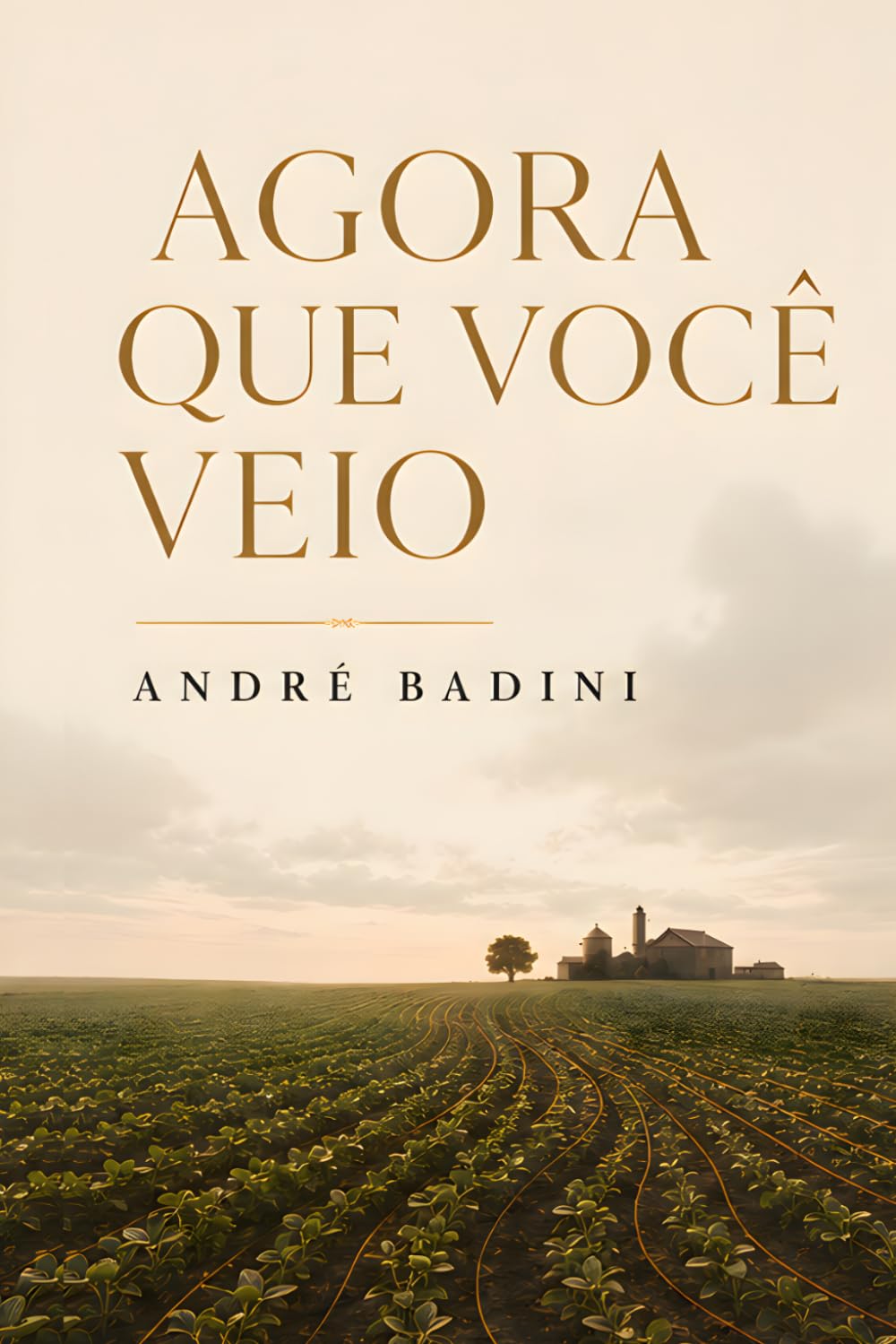 Agora que você veio