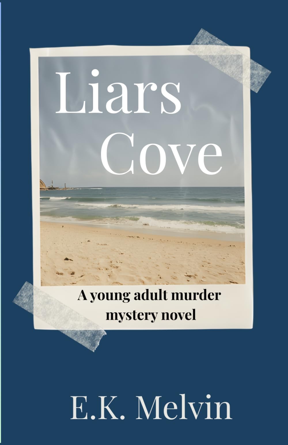 Liars Cove: A Young Adult Murder Mystery Novel