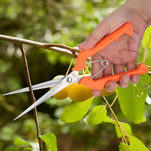 Miniatura 3 de Pilipane Cortador de ramas cóncavas para bonsái, tijeras de podar de 9.843 in, tijeras de podar con mango ergonómico, juego de herramientas de