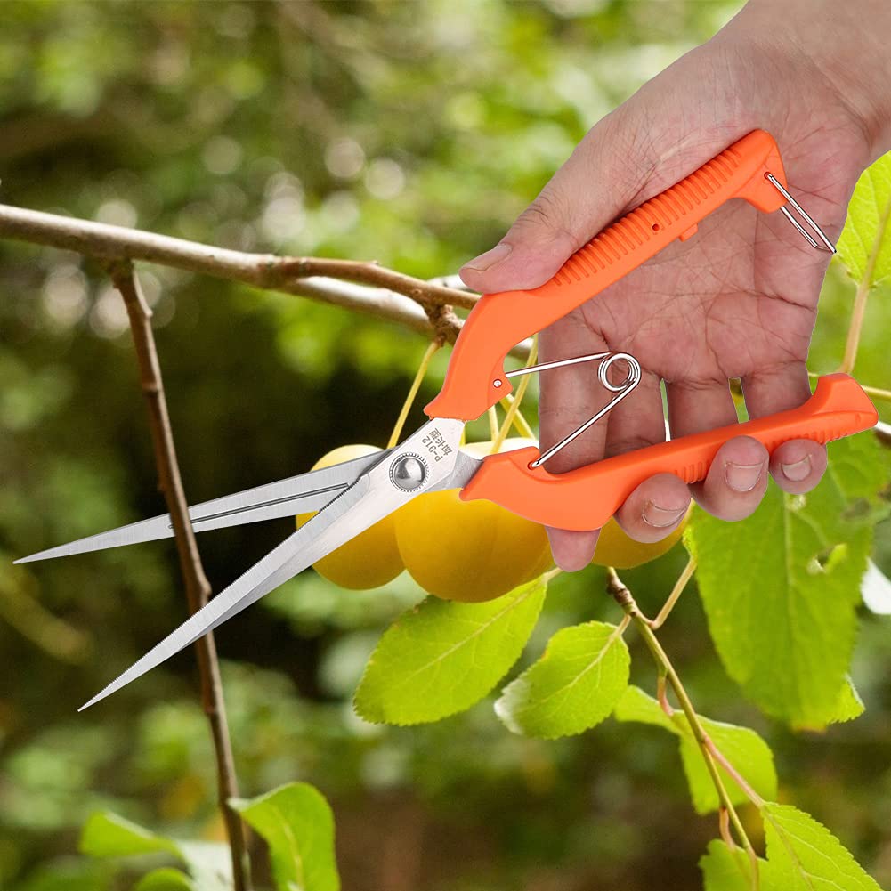Gegong 250 mm élagage cisaillement jardin de cisaillement Cisseurs ciseaux Home Pruning Carear Jardin Twear Carement Branche Toolet de jardinage pour la coupe de la brindille à fle