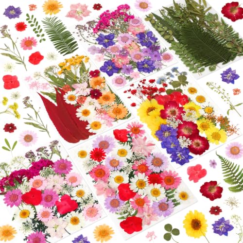 Image of NESCCI 210 Pcs Dried Pressed Flowers for Resin,Real Nature Dried Flowers for Crafts Bulk Dry Flowers Leaves Kit Used for Resin Molds Scrapbooking DIY Art Crafts Candle Soap Making Nails Decor