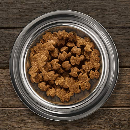 Eukanuba Daily Care Sensitive Joints Hundefutter - Trockenfutter für Hunde mit Gelenkbeschwerden – Spezialfutter geeignet für alle ausgewachsenen Rassen, 12,5 kg