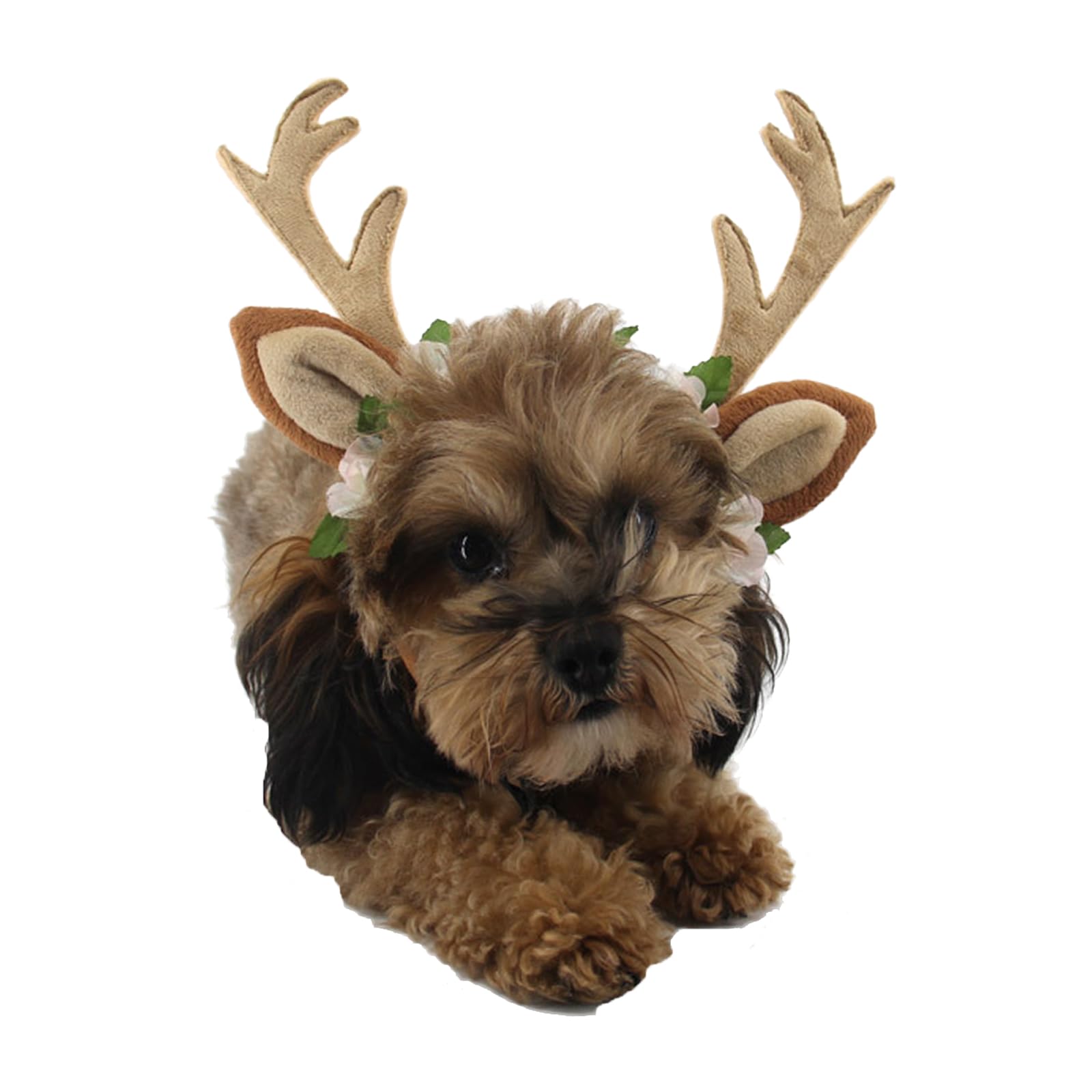 Golden Apple Adjustable Christmas Pet Deer Antlers Headbands Dog Reindeer Elk Headwear Cosplay Costume for Cat Puppy Pet (Floral, M) - Image 2