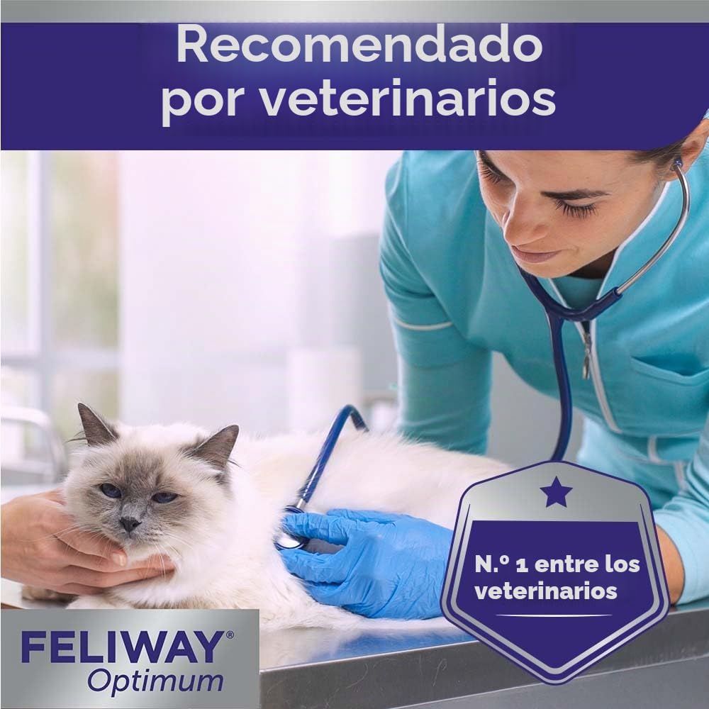 Ceva Feliway Optimum frasco de recarga de 30 días | Pack de 2 | 2 x 48 ml | Puede ser útil para reducir el estrés en gatos | Apto para cualquier etapa de la vida