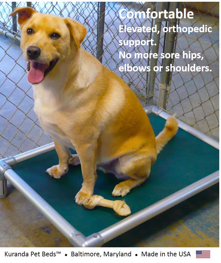 Kuranda Dog Beds Ebay