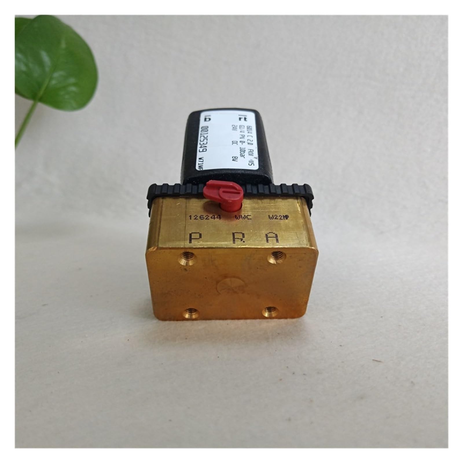 valvole a solenoide 6014 elettrovalvola ad azione diretta G1/4 pollici * 3/2 normalmente chiusa, sigillata in FKM, corpo valvola in ottone, 24 V CC,