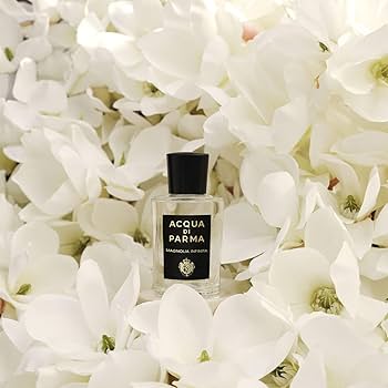 ACQUA DI PARMA マグノリアインフィニタ　100ml Acqua di Parma Magnolia Infinita Eau de Parfum | Saks Fifth