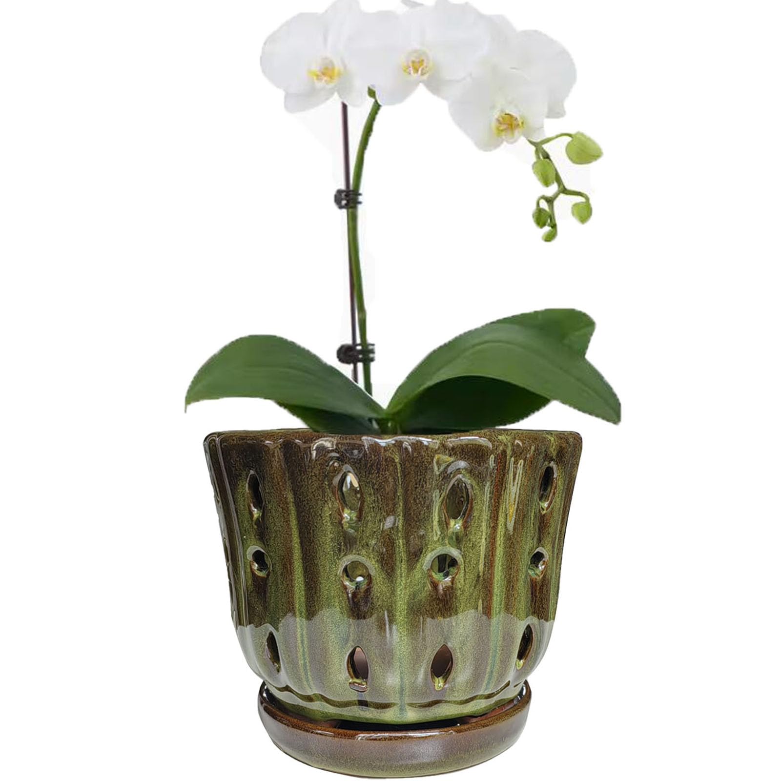 Ceramic Orchid Pot 6 Inch Mossgreen