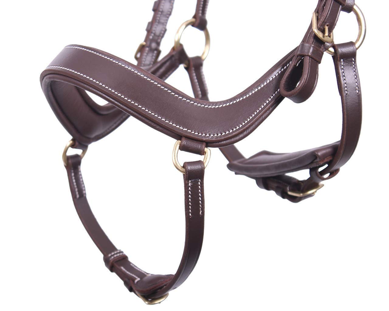 Trense Reiten QHP Devi