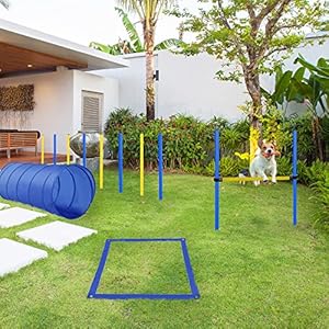 PawHut 4PC Obstacle Dog Agility Training Course Kit Backyard Competitive Equipment- Blue/Yellow PawHut 4PC Obstacle Dog Agility Training Course Kit Backyard Competitive Equipment BlueYellow